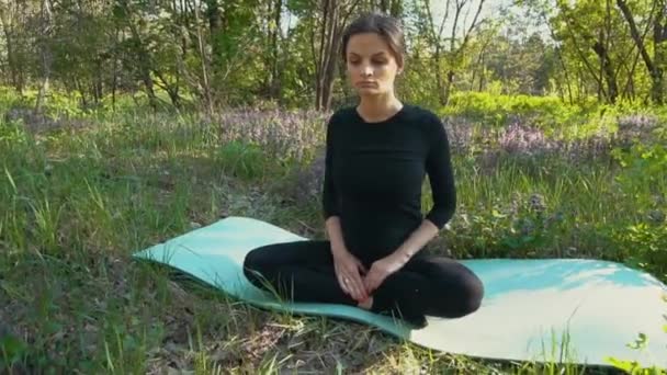 Jovem grávida fazendo ioga fora . — Vídeo de Stock