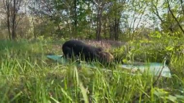 Genç hamile kadın dışında yoga yaparken.