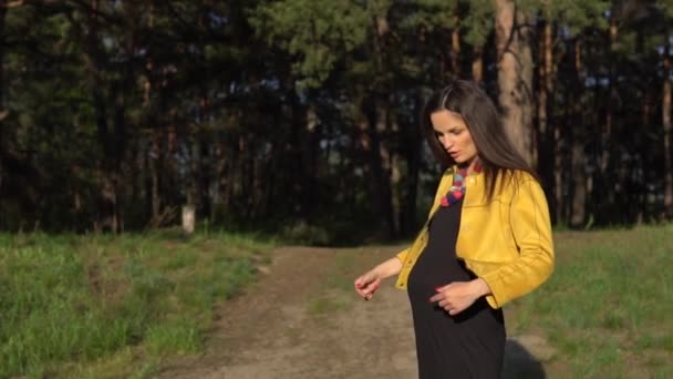 Femme touchant son ventre enceinte — Video