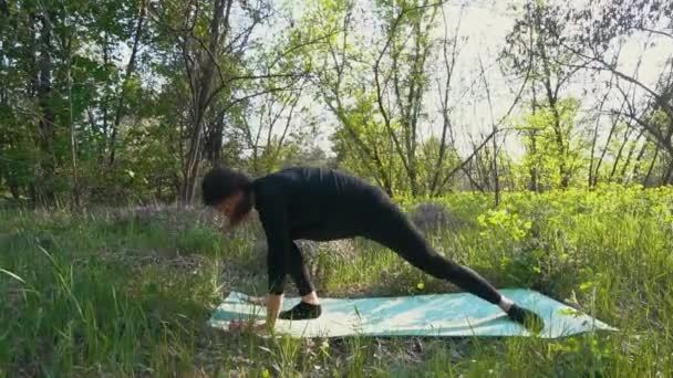 Jeune femme enceinte faisant du yoga à l'extérieur . — Video