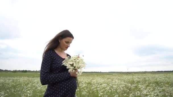 Pregnant woman picking camomile flowers. — Stock Video