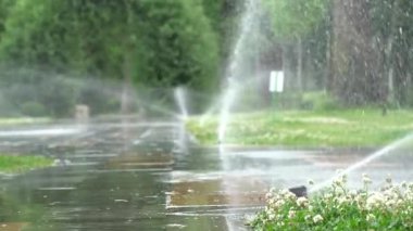 Bahçe sulama. Otomatik sulama sistemi için bitki ve Çim Sulama.