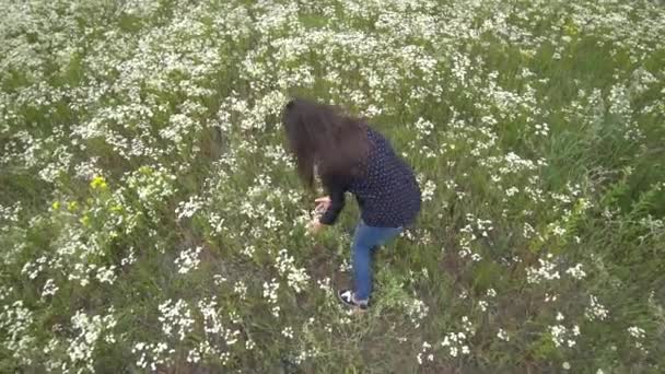 Młoda kobieta w ciąży, idąc przez pole rumianek. — Wideo stockowe