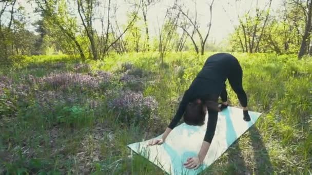 Jeune femme enceinte faisant du yoga à l'extérieur . — Video