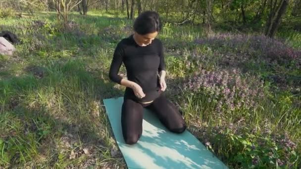 Femme enceinte caressant son ventre de bébé assis sur l'herbe — Video