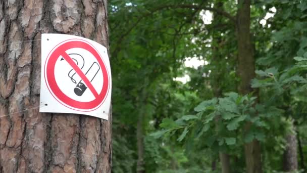 Geen teken van roken in groene omgeving — Stockvideo