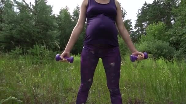 Hermosa mujer embarazada haciendo deporte en el parque de verano . — Vídeos de Stock