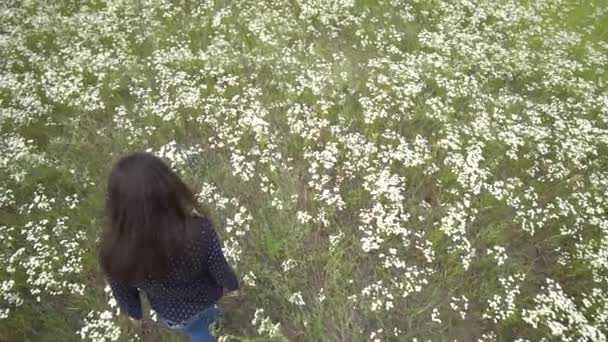 Pregnant young woman walking through chamomile field. — Stock Video