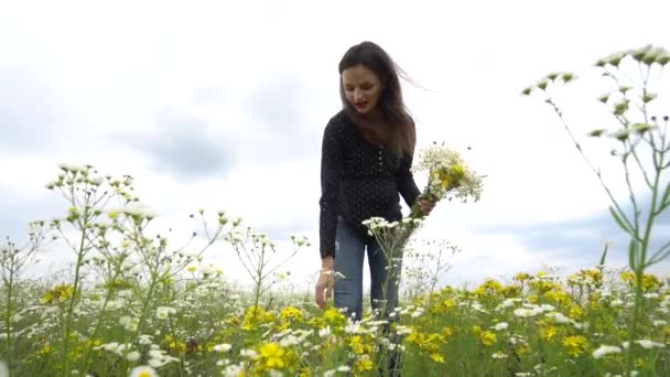 Wanita hamil memetik bunga camomile . — Stok Video