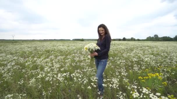 Έγκυος γυναίκα μάζευε λουλούδια χαμομηλιού. — Αρχείο Βίντεο