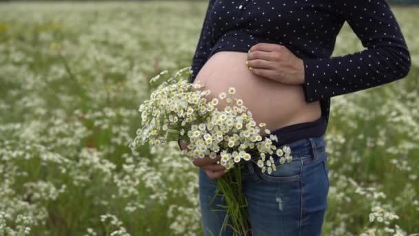 Mujer embarazada con ramo de flores de manzanilla . — Vídeos de Stock