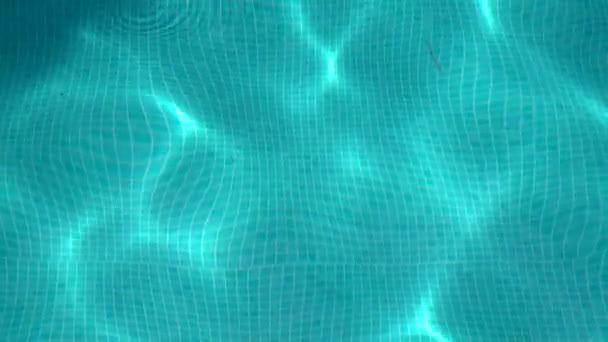 Sfondo piscina acqua Loop. Piscina acqua astratto sfondo . — Video Stock