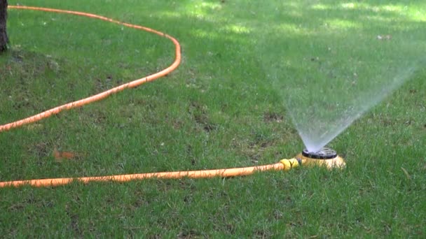 Automatic watering system on green grass — Stock Video