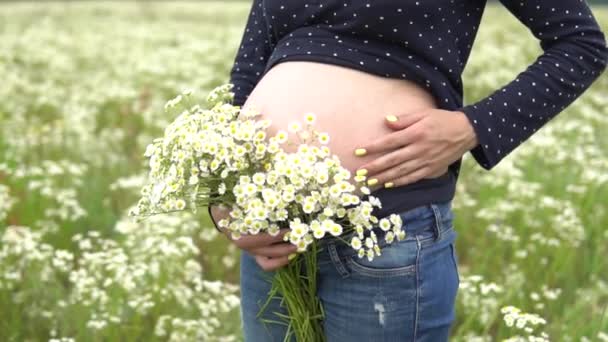 Mujer embarazada con ramo de flores de manzanilla . — Vídeo de stock