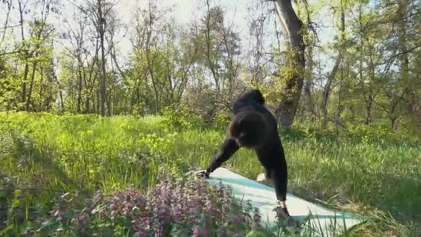 Mladá těhotná žena dělá jógu venku. — Stock video