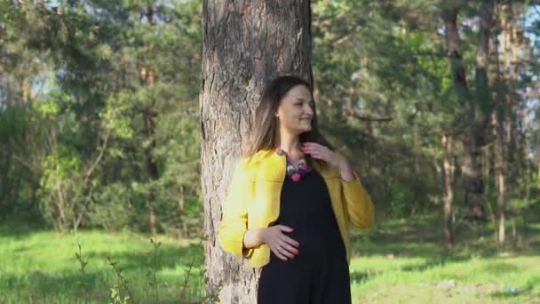 Kobieta dotyka jej brzuch w ciąży — Wideo stockowe