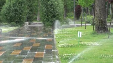 Bahçe sulama. Otomatik sulama sistemi için bitki ve Çim Sulama.