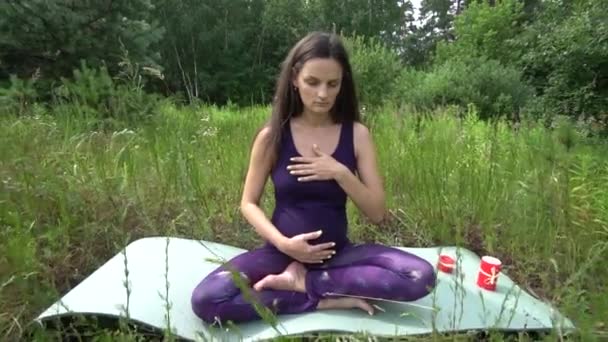 Junge schwangere Frau macht draußen Yoga. — Stockvideo