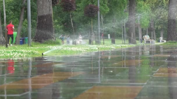 Irrigation de jardin. Système d'arrosage automatique pour les plantes et les pelouses . — Video