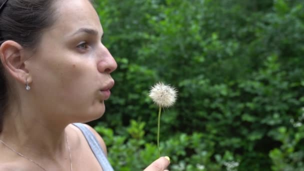 Beautiful Young Woaman Blowing Dandelion. — Stock Video