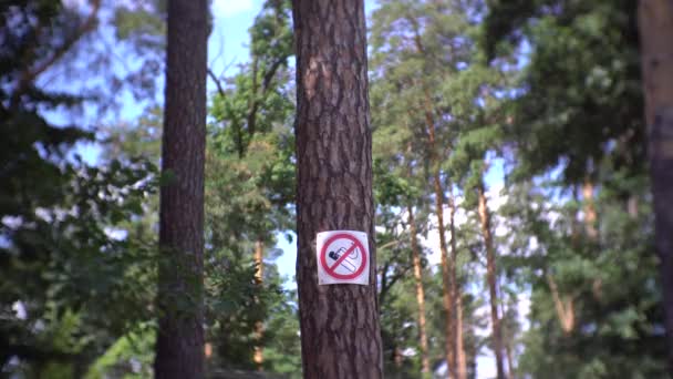 緑豊かなエリアで禁煙の標識 — ストック動画