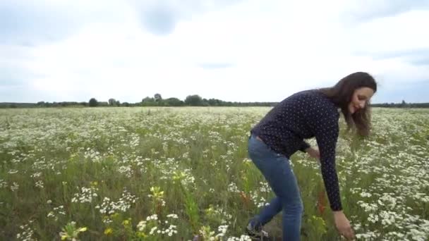 Вагітна жінка збирає квіти ромашки . — стокове відео