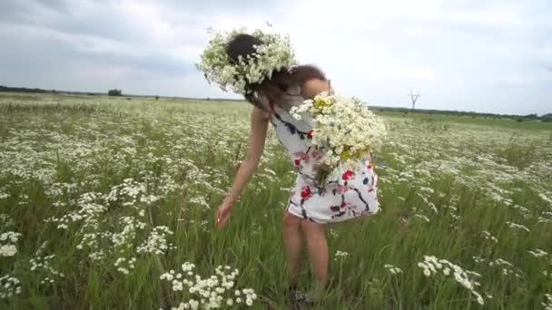 Těhotná žena trhá heřmánek květiny. — Stock video