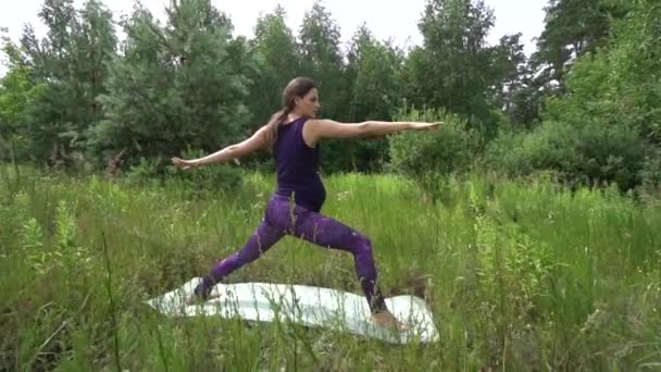 Young pregnant woman doing yoga outside. — Stock Video