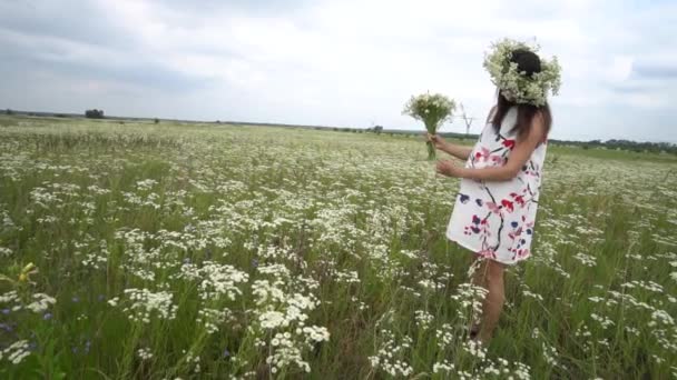 Zwangere vrouw plukken kamille bloemen. — Stockvideo