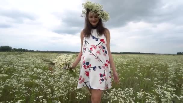 Mujer embarazada recogiendo flores de manzanilla . — Vídeo de stock