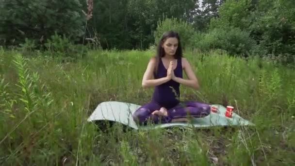 Joven embarazada haciendo yoga fuera . — Vídeos de Stock