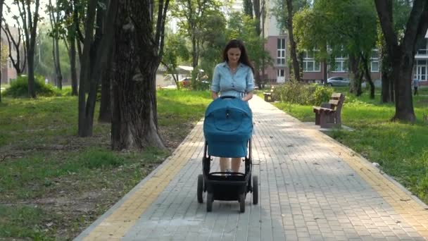 Мати гуляє з коляскою в парку. Літній фон природи . — стокове відео