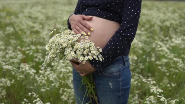 Έγκυος γυναίκα με μπουκέτο από λουλούδια χαμομηλιού. — Αρχείο Βίντεο