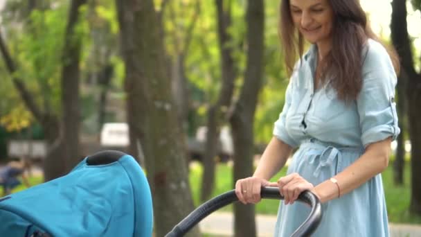 공원에서 유모차와 함께 산책 하는 어머니. 여름 자연 배경. — 비디오