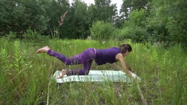 Junge schwangere Frau macht draußen Yoga. — Stockvideo