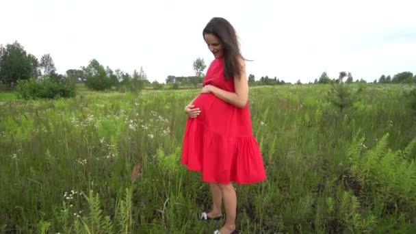 Giovane donna incinta che cammina attraverso il campo . — Video Stock