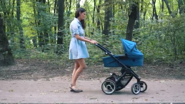 Mamma går med en barnvagn i parken. Sommaren natur bakgrund. — Stockvideo