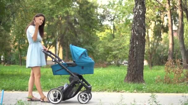 Mutter geht mit Kinderwagen durch den Park. Sommer Natur Hintergrund. — Stockvideo