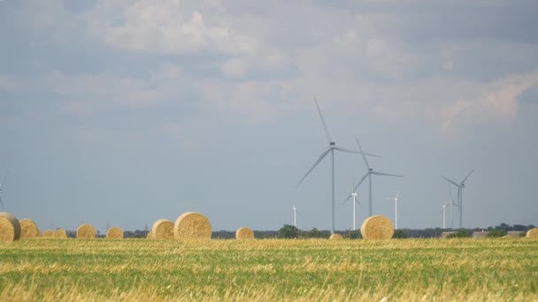 Зеленое пшеничное поле в движении с ветряными турбинами на заднем плане . — стоковое видео