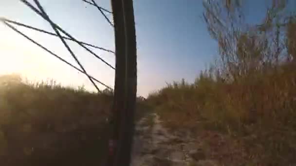 Voyage touristique en route rurale en VTT près du troupeau de chèvres . — Video