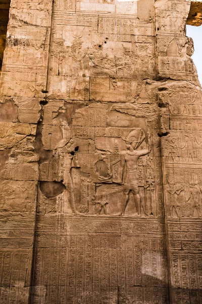 Mısır Nil Com Ombo Tapınağı. Nil Com Ombo Tapınağı. Horus ve Sobek tanrıları, Mısır Tanrıları.