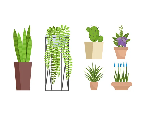 Set aus verschiedenen dekorativen Töpferpflanzen für Haus und Büro. — Stockvektor