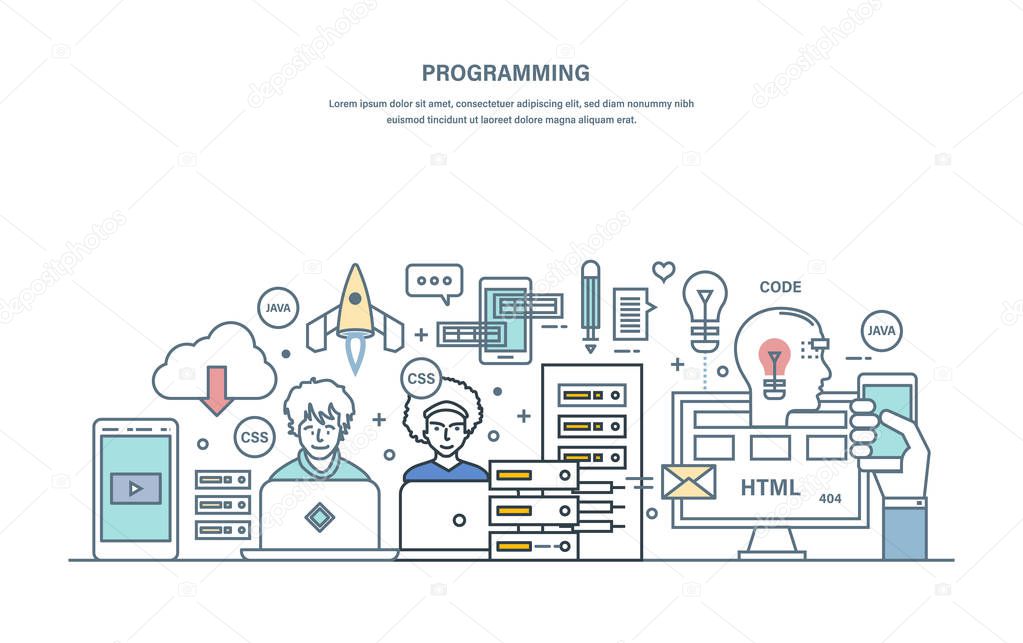 Programming. Software development in high-level languages and coding.