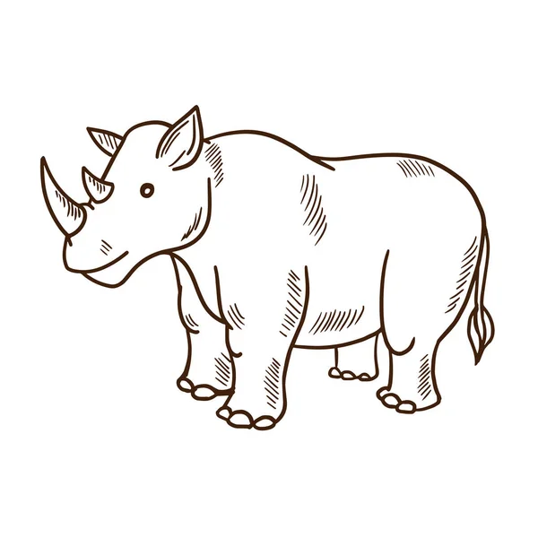 Roztomilý kreslený zvířata. Roztomilý funny nosorožce. Zoo a příroda. — Stockový vektor