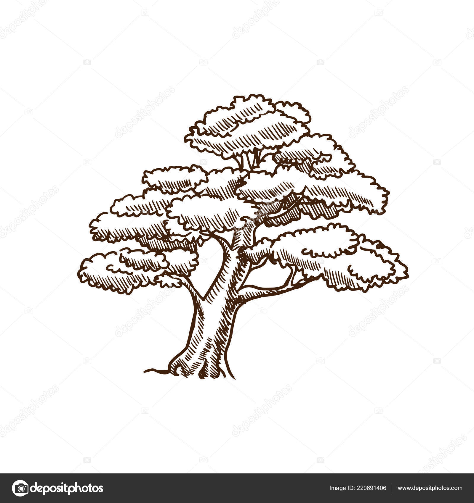 夏季枫叶树剪影与叶子, 自然夏季图案. 图库矢量图©ideyweb 220691406, image size:1600x1700