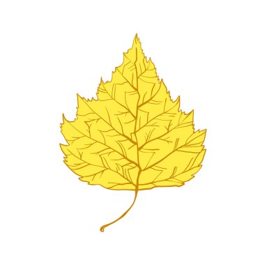 Sonbahar huş ağacı yaprakları. Modern tesisleri.