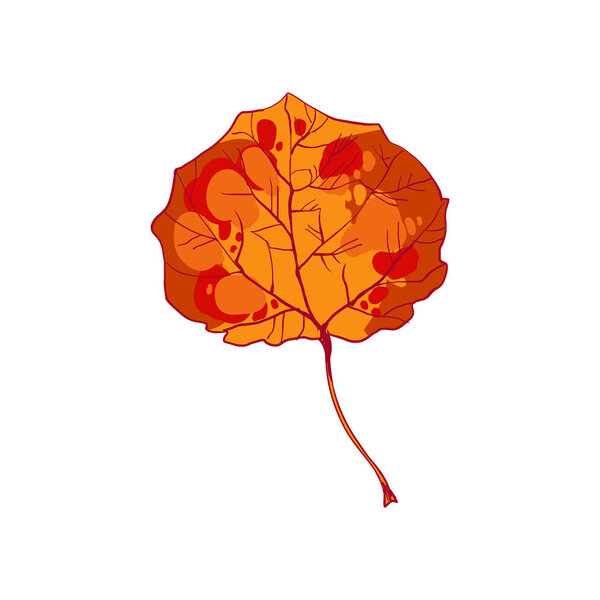 Красивый цветной лист осины. Лиственное дерево с пышными листьями
.