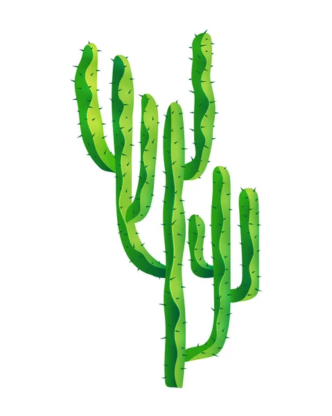 Pianta tradizionale di cactus con aghi in un'area aperta deserta . — Vettoriale Stock