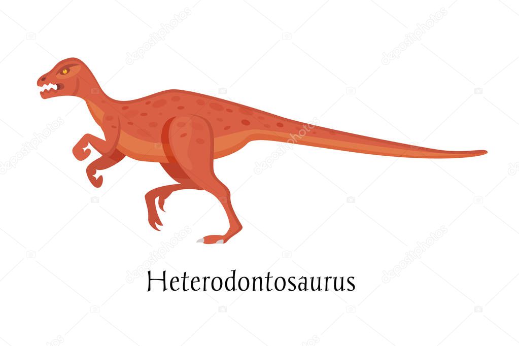 Ancient prehistoric animal dinosaur. Big wild ground predatory animal Heterodontosaurus.