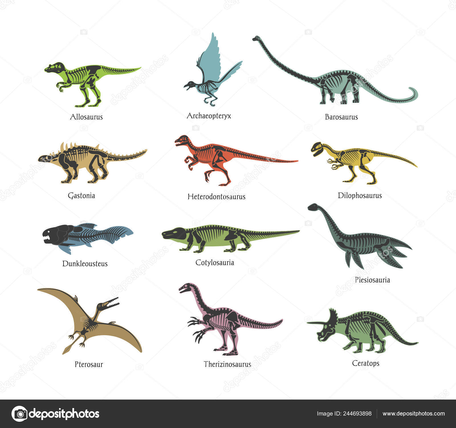 Pterosaur infographic  Prehistoric animals, Prehistoric creatures